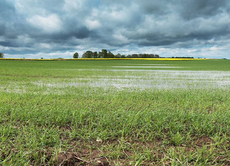 Időjárás előrejelzés
